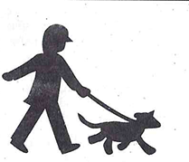 Dogs on the road go on a leash.